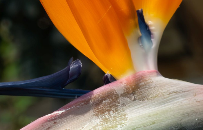 Lightroom zeigt in der Vergrößerung sehr gutes Entrauschen, zudem bleiben die Details und die Farben erhalten. (Bild: Tobias Költzsch/Golem.de)